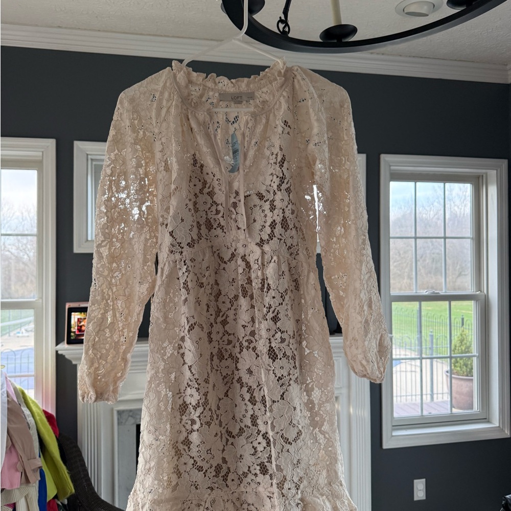LOFT floral lace flount mini dress Small Petite
